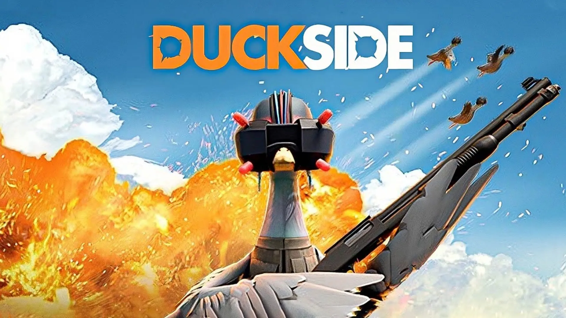 DUCKSIDE